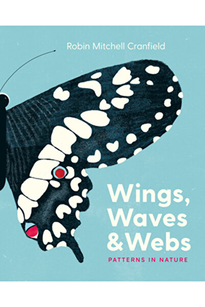 Greystone Kids Aripi, valuri și pânze: modele în natură