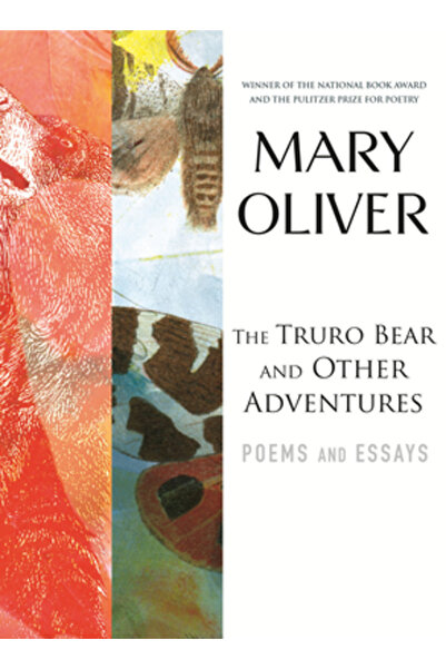 Beacon Press Ursul Truro și alte aventuri: poezii și eseuri