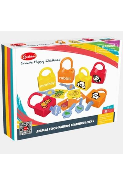 OEM Educational Game with Locks and Keys