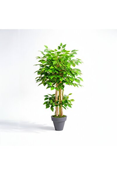 florayapaycicekcom Yapay Benjamin Ağaç Islak Doku Dogal Gövde Siyah Saksı 120 Cm