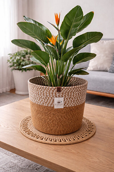 Efuliz Home Καλάθι για γλάστρες από γιούτα-ψάθινο, πολλαπλών χρήσεων-διακοσμη...