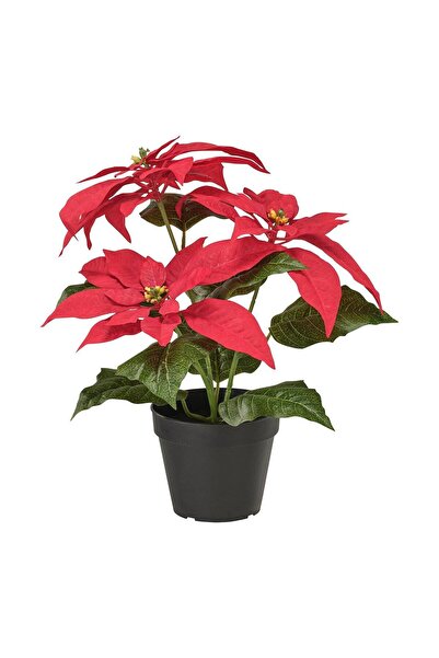 IKEA Plantă Artificială Vınterfınt Roșie 12 Cm Floarea Ataturk