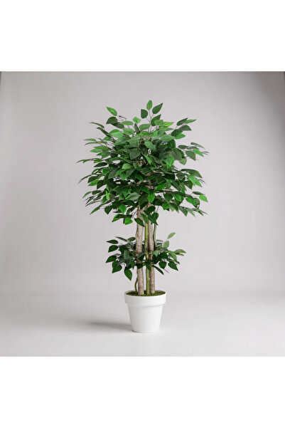 florayapaycicekcom Yapay Benjamin Ağaç Islak Doku Dogal Gövde Beyaz Saksı 100 Cm