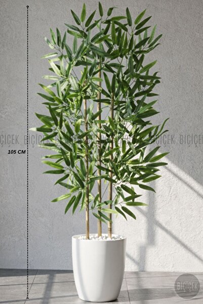 BİÇİÇEK 110 cm Bambu Ağacı Yakut Saksıda