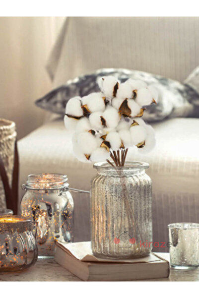 KirazEv 8’li Beyaz Doğal Pamuk Dalı, Doğal Pamuk Dalları