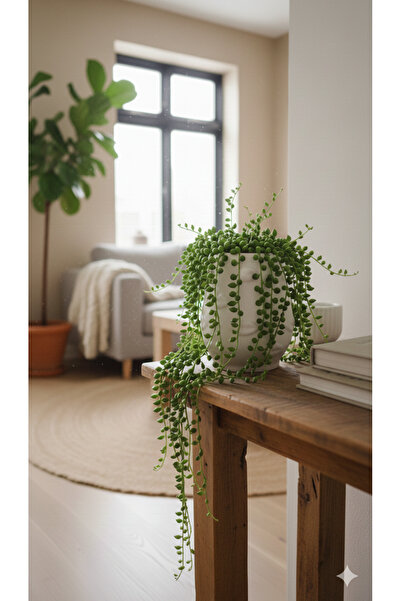 Livava Lip Embossed Beige Ceramic Vase, 13 Cm, Nordic Style