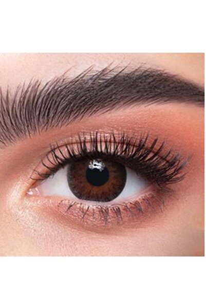 Gold - Daily Contact Lenses Topaz