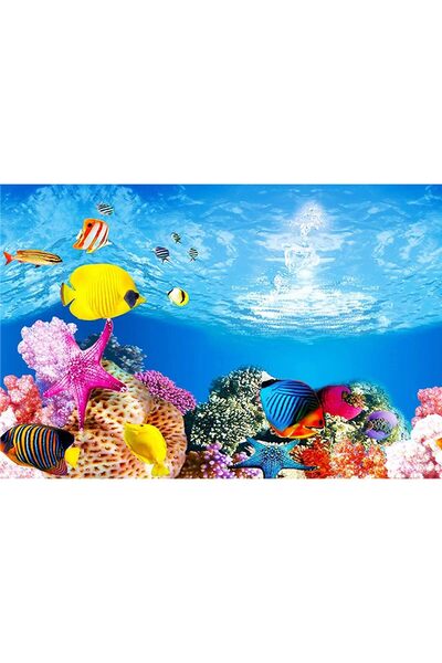 canlipetshop Arka Fon No:9095 Kayıp Nemo 50 cm Uzunluk 30 Cm Yükseklik