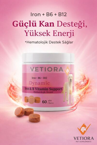 VETIORA Köpekler için Zengin Demir, B6, B12, Folik Asit, Çinko Hematolojik De...