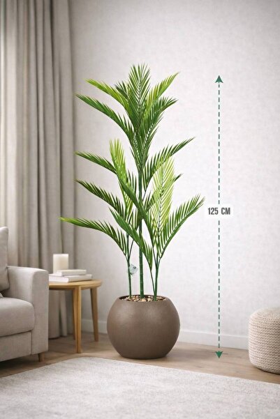 CENTRHOME شجرة أريكا بثلاثة فروع طول 125 cm بمركن مكور