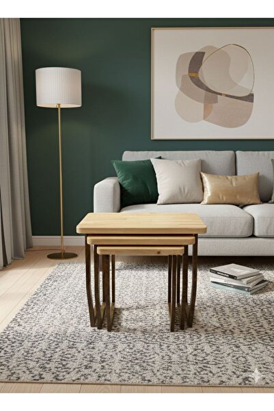 ALKANLAR AHŞAP DEKOR Doğal Ağaç Kütük 3 Lü Zigon Sehpa