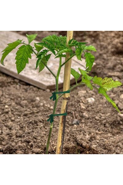 KASTWAVE Braided Garden Twine