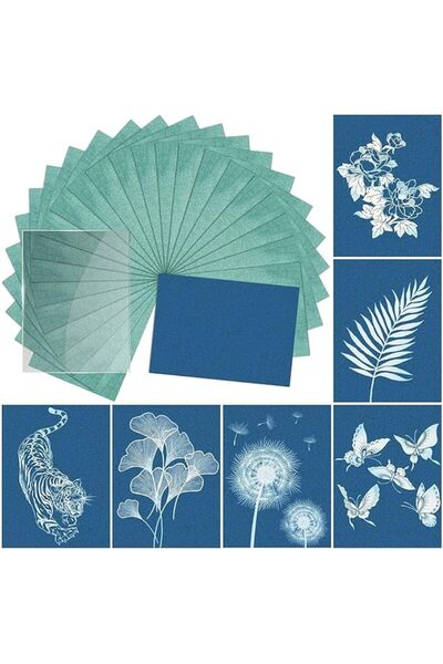 ELEPHANTBOAT ورق حساس للشمس 24