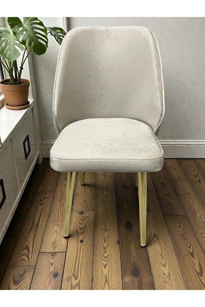 MSY HOME 2 Kişilik Gold Ayak Krem Yönsüz Kumaş Modern Ve Şık Sandalye Takımı