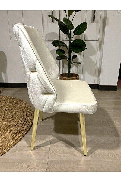 MSY HOME 2 Kişilik Gold Ayak Krem Yönsüz Kumaş Modern Ve Şık Sandalye Takımı