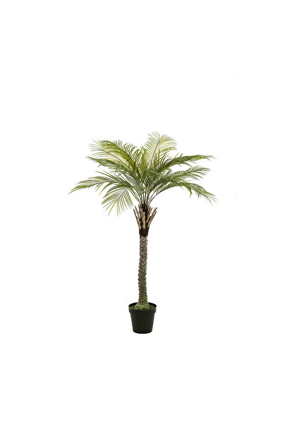 homez نخلة فينيكس صناعية فاخرة في أصيص، خضراء 100*100*160 سم