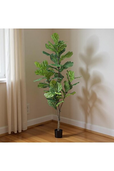 homez نبات فيكس ليراتا صناعي في أصيص، أخضر 60*60*160 سم