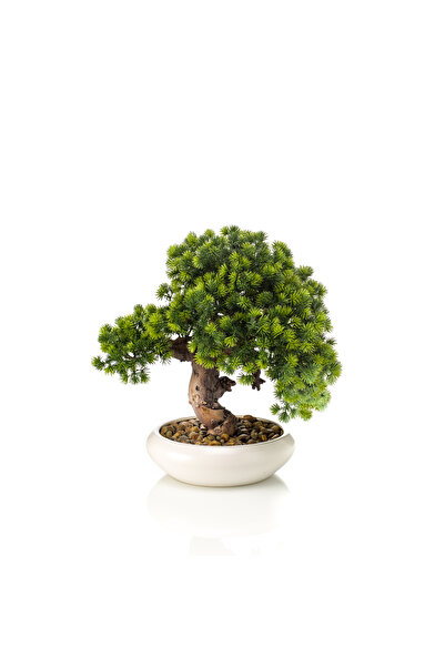 homez شجرة بونساي صناعية داخلية من نوع كريبتوميريا جابونيكا في وعاء سيراميك أ...