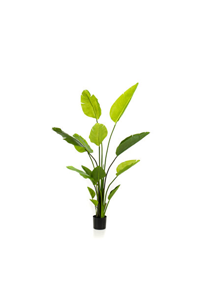 homez نبات ستريليتسيا نيكولاي الاصطناعي في وعاء، أخضر، 100*100*150سم