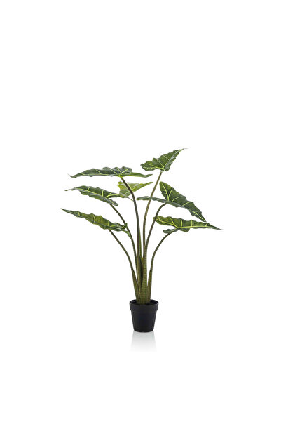 homez نبات ألوكاسيا فرايدك صناعي داخلي في أصيص، 100 سم