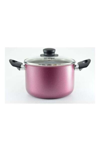 Domo Non-Stick Dutch Pot And Glass Lid Pink 22cm