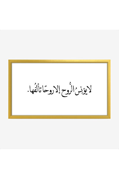 Tajridhome لوحة كلمات - نص مميز - خلفية بيضاء - هادئ - لوحات حائط - لوحات كانفاس