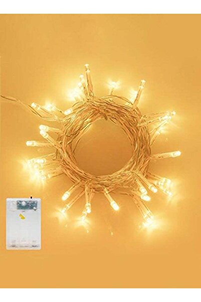 Generic 5-meter LED string lights – 50 bulbs – battery operated – warm light ...