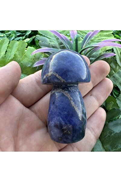 İNCİ DOĞAL TAŞ فطر كبير من حجر اللازورد 6 سم