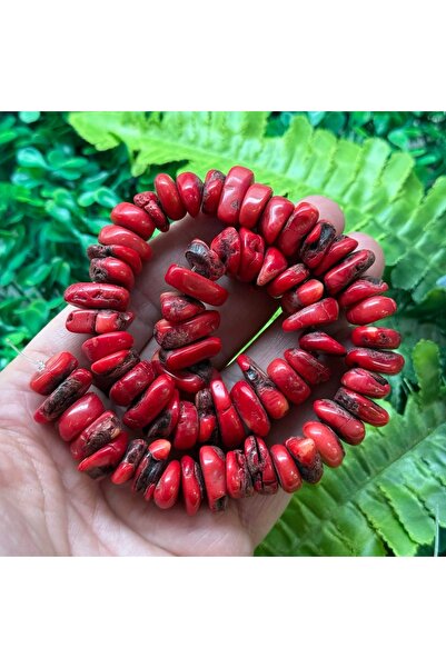 TAŞ UZMANI حجر المرجان المكسور غير المُشكل 14 مم