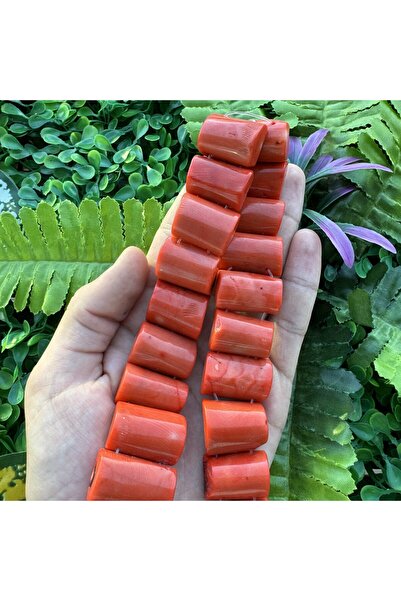 TAŞ UZMANI نصف اسطوانة حجر المرجان 3 سم