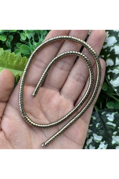 TAŞ UZMANI حجر الهيماتيت الذهبي الناعم على شكل ثعبان 4x2 ملم