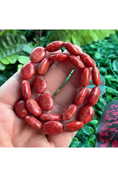 TAŞ UZMANI حجر المرجان المتوسطي البيضاوي 13x18 مم