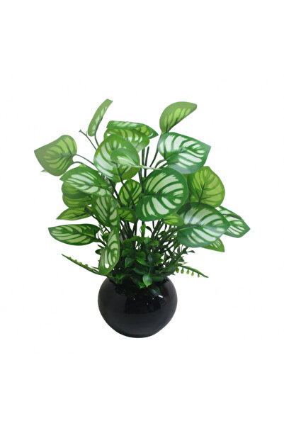 Yusee زينة حوض السمك - نبات اصطناعي - YS-232906 (الارتفاع: 25-28 سم)