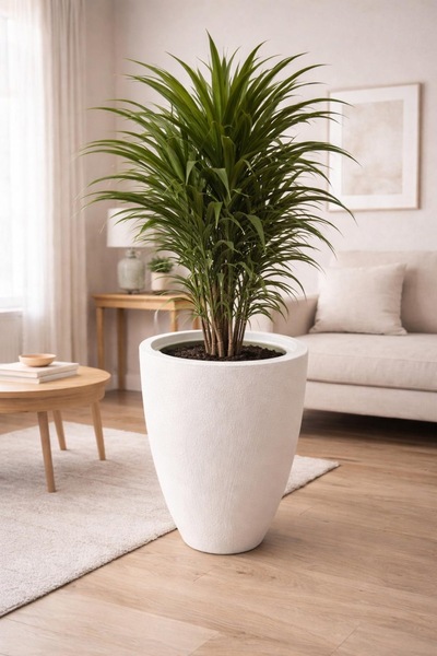 abacıshop Tapered saksı beton avize beton görünümlü dokulu saksı 35çap 45 boy