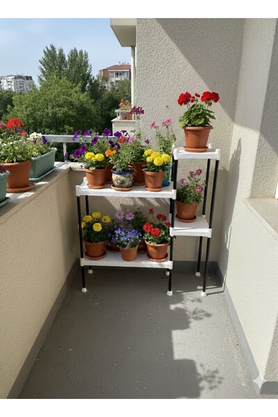 Lider Tunç TUNİVA LİORA Çok Amaçlı 4 Bölmeli Dekoratif Çiçeklik Ve Modern Sak...