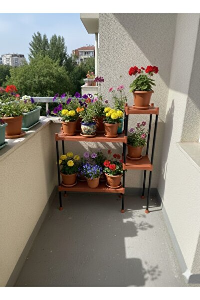 Lider Tunç TUNİVA LİORA Çok Amaçlı 4 Bölmeli Dekoratif Çiçeklik Ve Modern Sak...