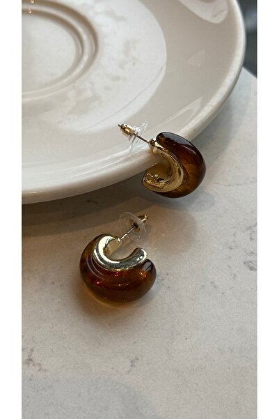 ADENNA JEWELRY Coffee Acrylic Gold Plated Mini Hoop Earrings