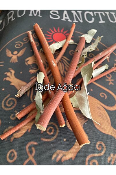 shop İğde Ağacı Dalı 25 gr