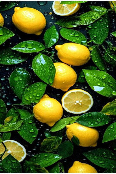 KEMAL ABİ مفارش طاولة أمريكية وسجادة مائدة من البي في سي قابلة للمسح 4 قطع