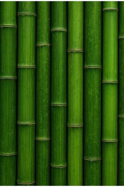 KEMAL ABİ مفارش طاولة أمريكية وسجادة مائدة من البي في سي قابلة للمسح 4 قطع