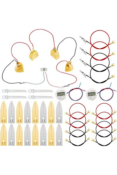 Generic Spring Fruit Battery Set, Complete Science Experiment Kit for STEM wi...