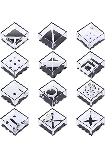 Generic 12 Piece IQ Balance Maze Puzzle