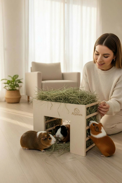 Alyones Tünel Formlu Ahşap Kuru Ot Besleyici – Gine Domuzu & Chinchilla için