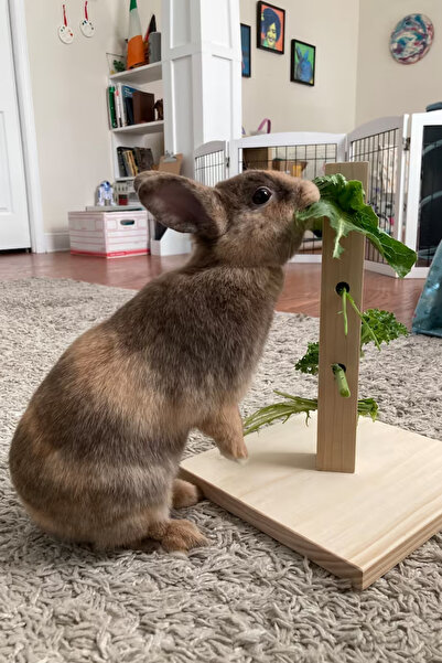 Alyones Bunny Tree – Ahşap Tavşan Foraging Oyuncağı, Doğal Çam, Zihinsel Uyarım