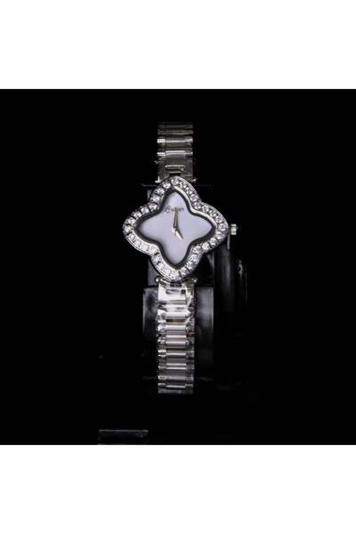 Generic Luxury women's watches FA-C2