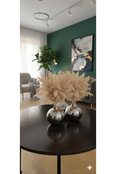 Velorahomee 3'lü Gümüş Küre Vazo Seti