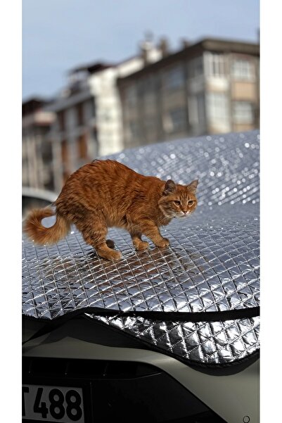 KEMOSABE DOLU VE BUZLANMAYA KARŞI ARABA BRANDASI SEDAN ARAÇLARLA UYUMLU ARAÇ ...