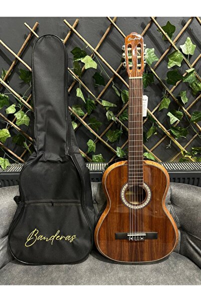 Sazhane Negro 4/4 Klasik Gitar (Kılıf-Pena)