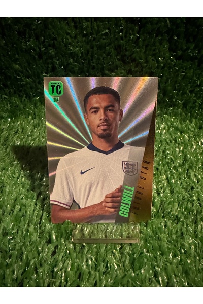 Panini بطاقة لعبة كولويل فيوتشر ستار من الدرجة الأولى