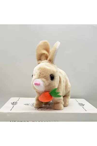 TrendTopic Işıklı Sesli Tavşan Peluş Emeklemeye Yardımcı 18x17 Cm